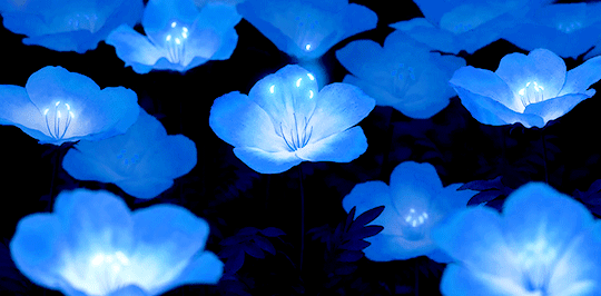 sweetgirlblueworld - Tumblr blog | Tumgir