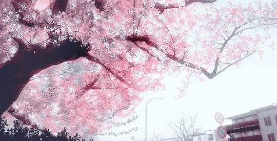 Картинка с тегом «anime, blossom, and beautiful»