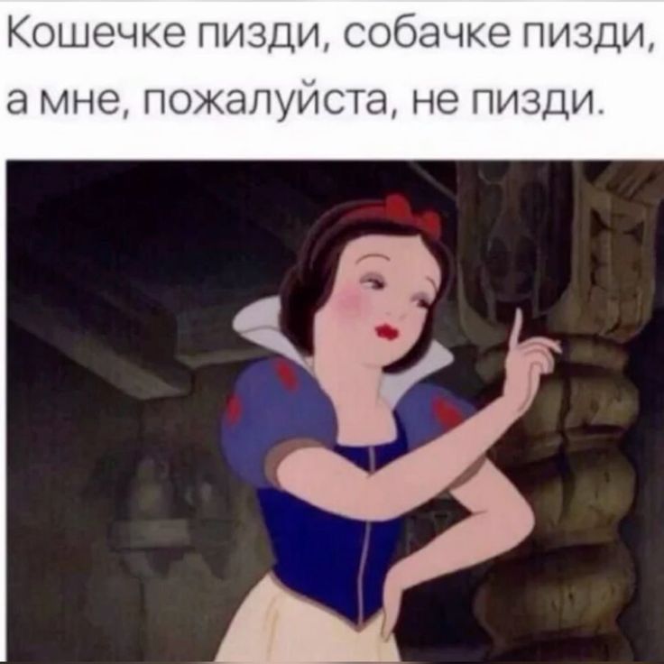 Изображение пина-истории