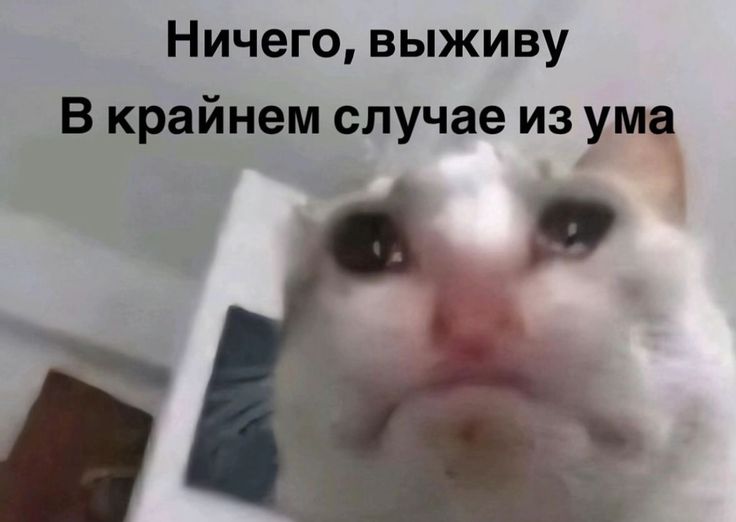 Изображение пина-истории