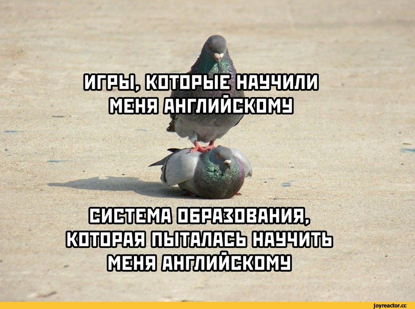 Приколы для даунов,разное