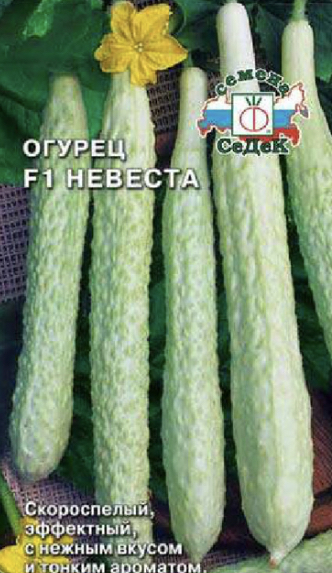 Белые Огурцы Сорта Фото