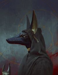 Desert Jackal