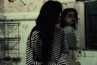 Red Zinnia