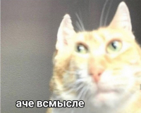 Вячеслав Орлов