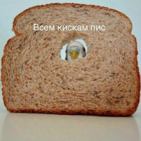 Алина Шутова