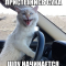 Ярыыыыык профиль