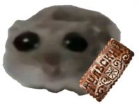 Рин Тонева