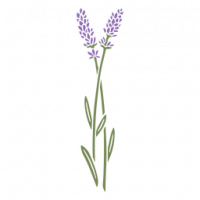 J. Rufius