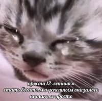 ор кринжа