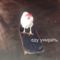 Люблю Чайлдли