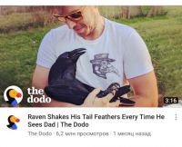 Вино Чаев