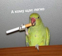 Клюква