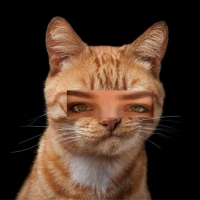 Лиза