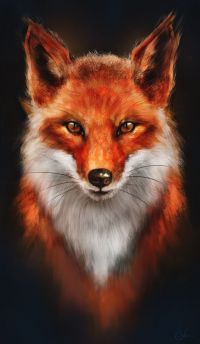 Modra Fox