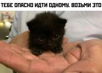 Будущее