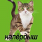 Vaka профиль