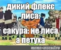 Илья Нету