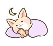 котик