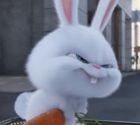 Bunny Chan
