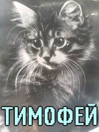Бабка таня