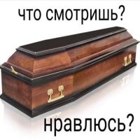т/ишка т/фшка