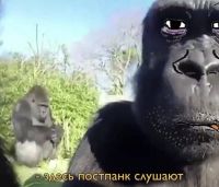 Імя Фамілія