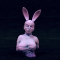 Bunnyrabbit профиль
