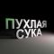 Магистр профиль