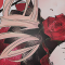 Shinku профиль