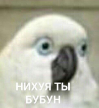 Икс