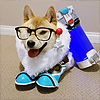 ayylmao