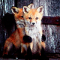 WhiteFox256 профиль