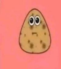 Hesso Nite