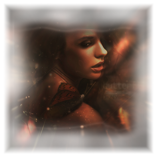 STARGAZER