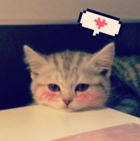 Meouin