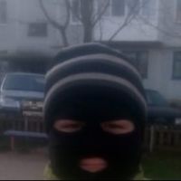 Яблочный Жмых