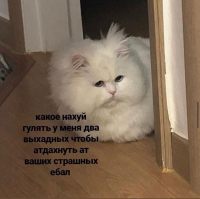 Ася