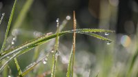 Станисалавский