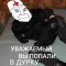 Dyrka  профиль