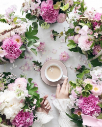 TeaForFlowers