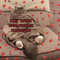 Мак 