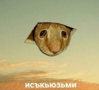 Римвета С рисом