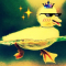 Strange Duck профиль