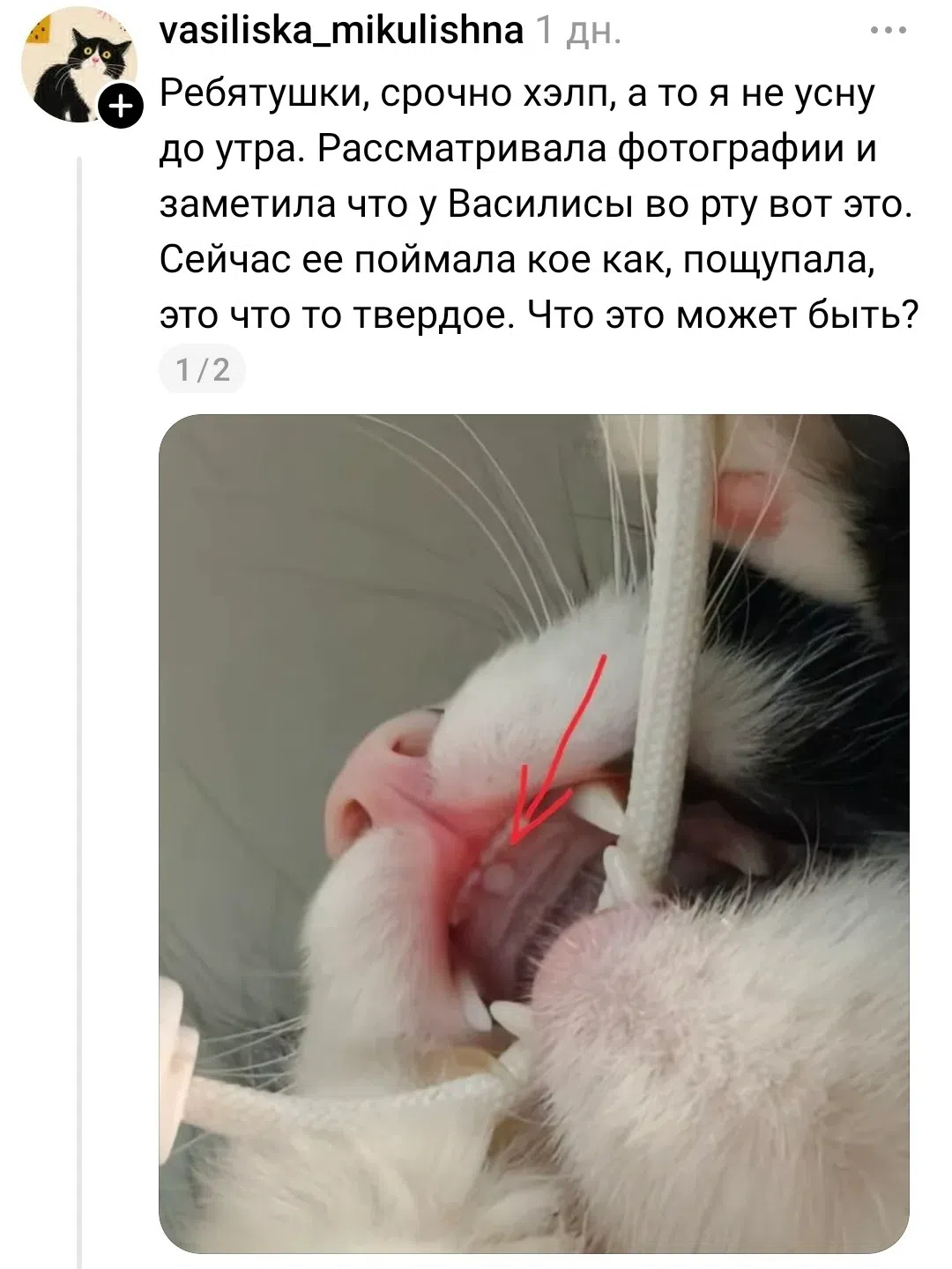 alt