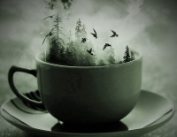 Mortem Spiralem