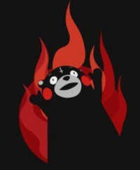 KoalaHaki