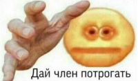 Сайджи Энеруги
